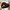 Siyah Ahşap Kalp içinde Kişiye Özel Kırmızı Solmayan Gül - Şoklanmış Büyük Boy 3 Adet Ekvator Gülü
