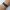 Renkli Tila, Kare ve Uzun  Miyuki 3'lü Bileklik Set 