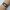 Renkli Tila, Kare ve Uzun Miyuki 3'lü Bileklik Set 