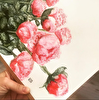 Pember güller - Resim - İllustrasyon Poster