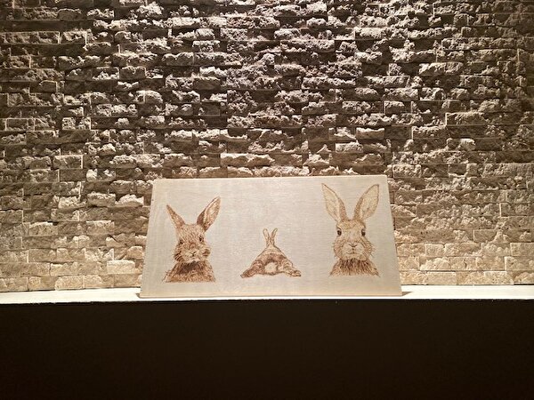 Sevimli Tavşanlar